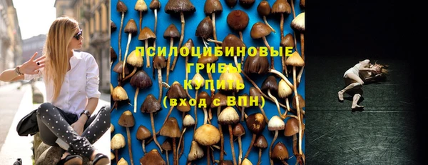 бошки Армянск