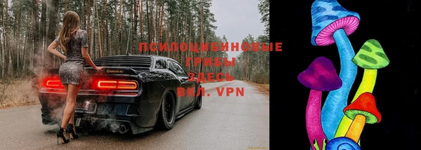 PSILOCYBIN Арсеньев
