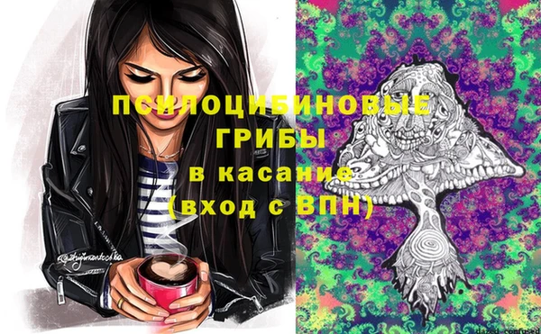 PSILOCYBIN Арсеньев